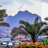 Фотография гостевого дома Private Apartament Celestina & Carlos