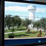 Фотография мини отеля Royal Sweet Dreams Airport B&B