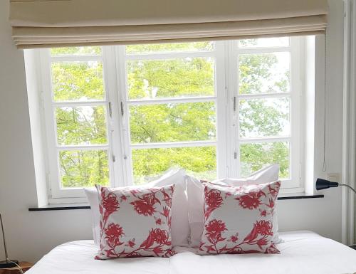 Фотография гостевого дома Vakantiewoning Guesthouse MOMO