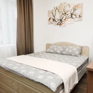 Фотография квартиры 3 Апартаменты Радиус (15)