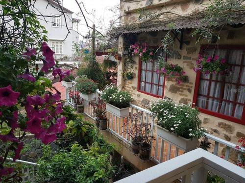 Фотография Коттеджа Flowersandrocks Villa