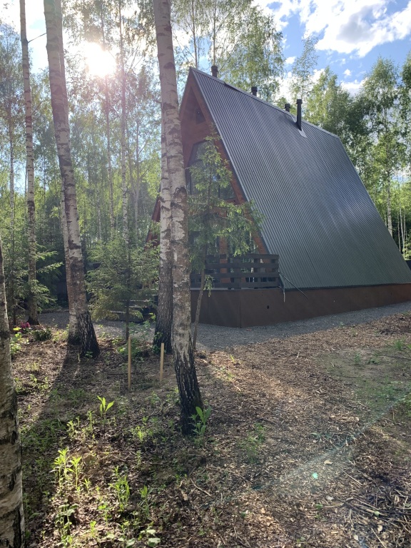 Фотография Коттеджа Частный дом A-фрейм в лесу Зеленого города