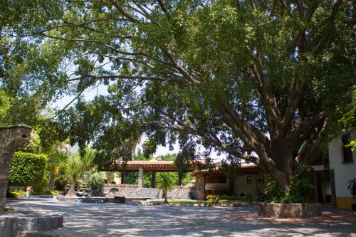 Фотография гостиницы Jardín Cerritos Xochitepec