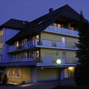 Фотографии гостиницы
Hotel Traube Lossburg