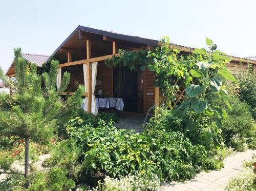 Фотография гостевого дома Уютный Коттедж У Аллы