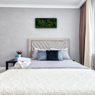 Фотография квартиры Апартаменты Шикарные в Центре