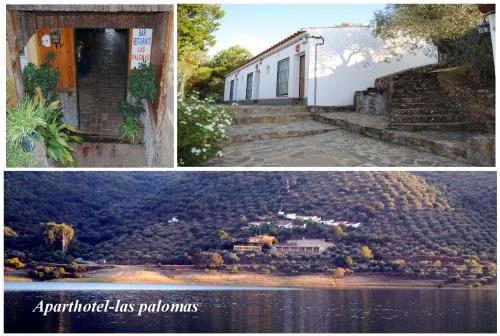 Фотография апарт отеля Aparthotel Las Palomas