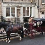 Фотография гостевого дома The Paragon