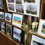 Фотография мини отеля Ryokan Fuji Heights