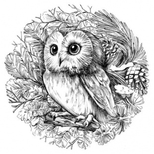 Фотография мини отеля СОВА Коньково