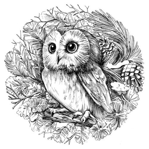 Фотография мини отеля СОВА Коньково