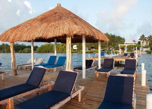 Фотография гостевого дома Palmetto Garden Cottage