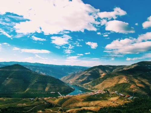 Фотография гостевого дома Casa do Douro