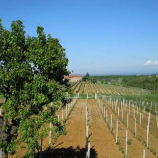 Фотографии базы отдыха
Il Girasole