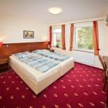 Фотография гостиницы Hotel Medaillon