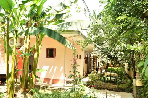 Фотография гостевого дома Sayfi gueshouse