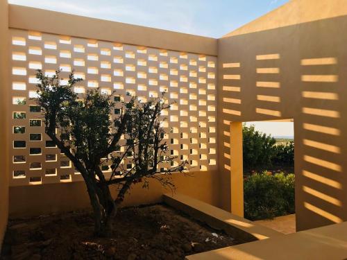 Фотография гостевого дома Casa del Melograno