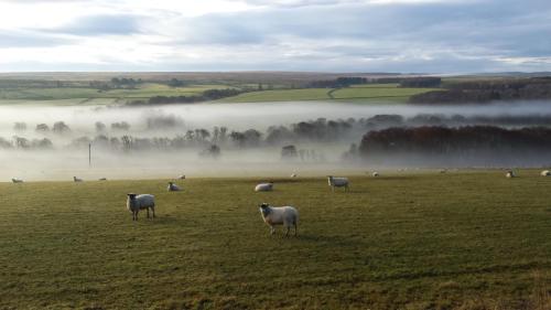 Фотография гостевого дома Redesdale Arms
