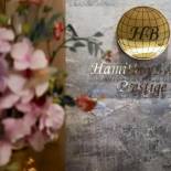 Фотография гостиницы NL Amsterdam Hotel