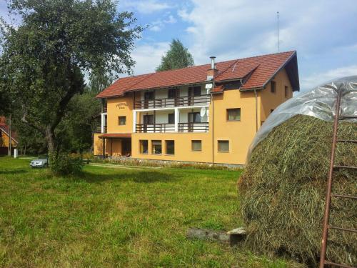 Фотография мини отеля Pensiunea Elena