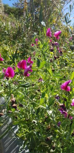 Фотографии гостевого дома
Cueva de Sacromonte
