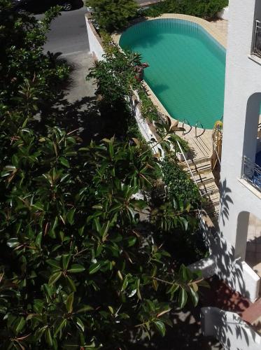 Фотография мини отеля Thomas BB