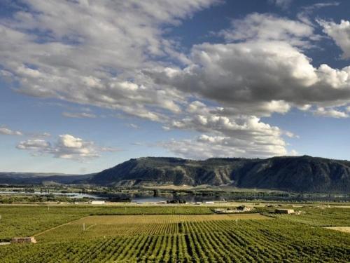 Фотография мини отеля Lone Point Cellars