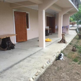 Фотография гостевого дома Цветущий рай