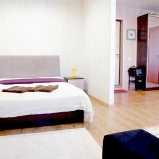 Фотография квартиры Апартаменты на улице Володарского 19