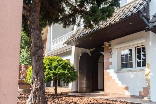 Фотография хостела Magic Garden Hostel