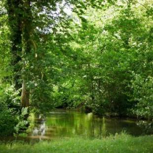 Фотографии кемпинга
Étape de la Roulotte