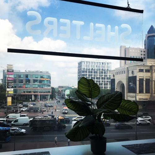 Фотографии гостиницы
ShelterS Тульская