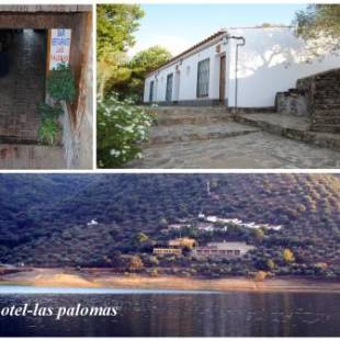 Фотографии апарт отеля
Aparthotel Las Palomas