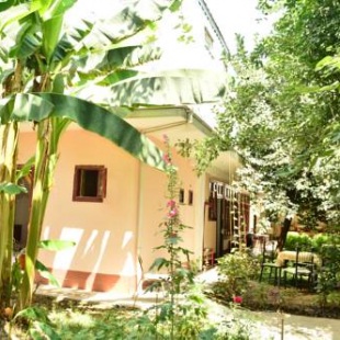 Фотография гостевого дома Sayfi gueshouse