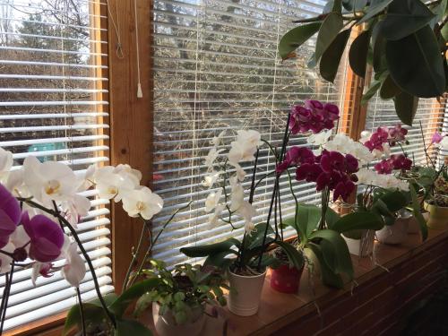 Фотография гостевого дома Margaréta Panzió