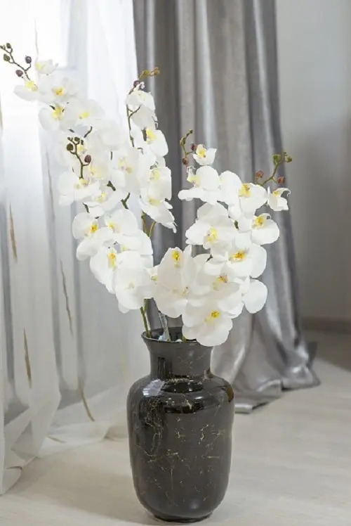 Фотография квартиры Квартира Студия на Набережной Реки Вологда