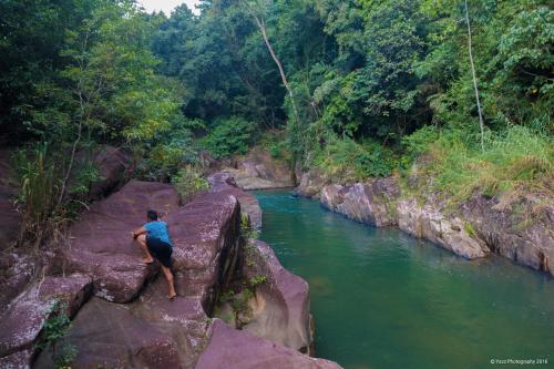 Фотография гостиницы Jungle River