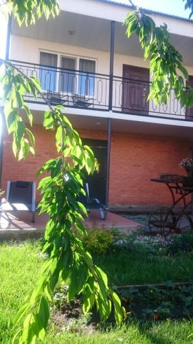 Фотография мини отеля Островок 