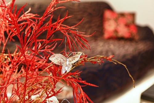 Фотография апарт отеля Stella Paradise "by Checkin"