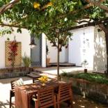 Фотография гостевого дома SECRET GARDEN apartment