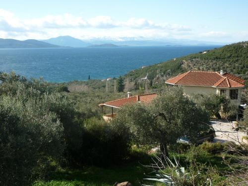 Фотографии гостевого дома
The Place by the Sun