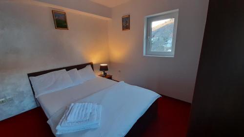 Фотография гостевого дома Pensiunea Lucy