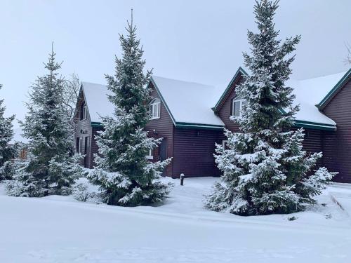 Фотография базы отдыха Гостевой дом Альбатрос