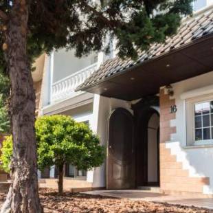 Фотографии хостела 
            Magic Garden Hostel