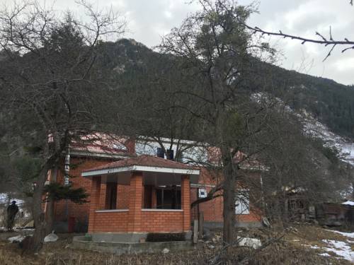 Фотография гостевого дома Теберда-Домбай