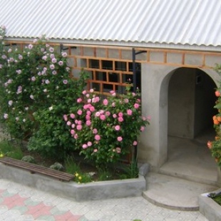 Фотография пансионата Веселый бумеранг