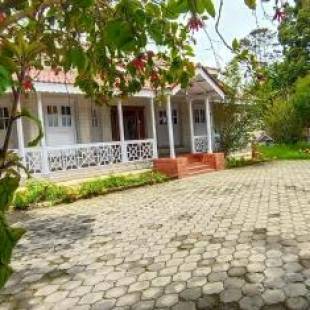 Фотографии гостиницы
Bruton resorts