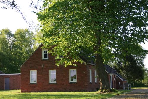 Фотографии гостевого дома 
            Haus Linden