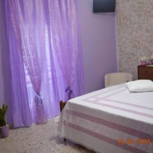 Фотографии мини отеля 
            nAnA'