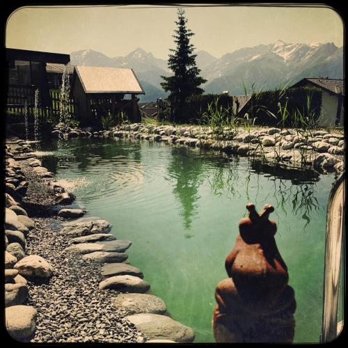 Фотография гостиницы Hotel Garni Alpendiamant